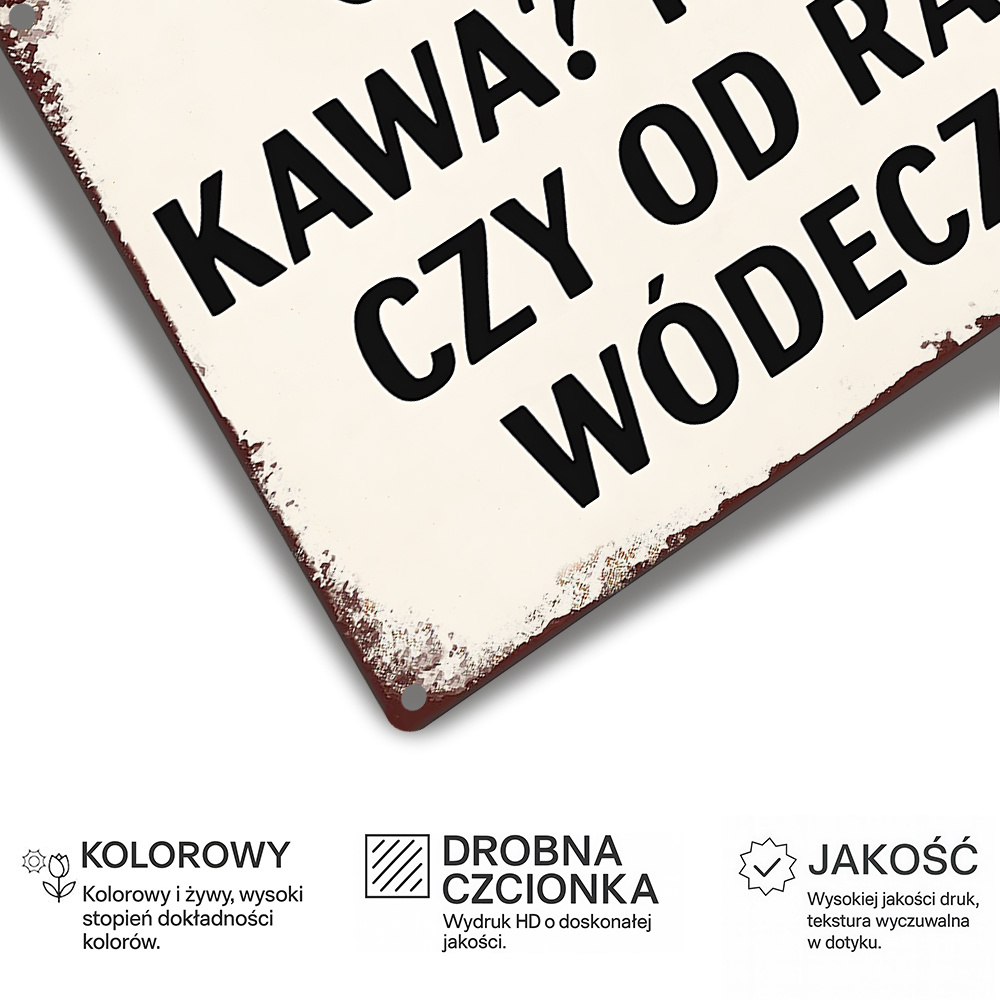 Vintage Metal Sign, Polish Fun - Coffee Tea Vodka review and price